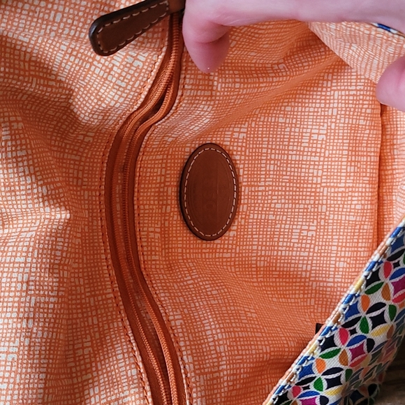 Fossil set - Picture 3 of 12